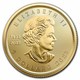 2023 1/10 oz Canadian Gold Maple Leaf